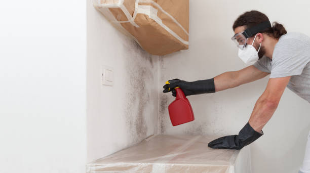 Professional Attic Mold Remediation technician working in New Berlin, IL