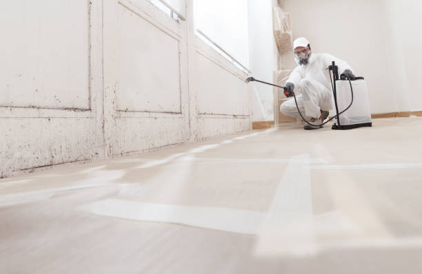 24/7 Emergency Attic Mold Remediation experts in New Berlin, IL